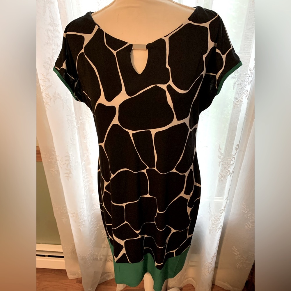 CB Dress